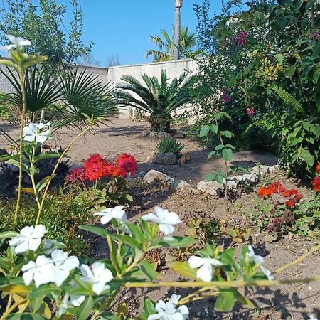 Il Giardino Di Sofia Charm And Comfort Apartment Torre dell'Orso Luaran gambar