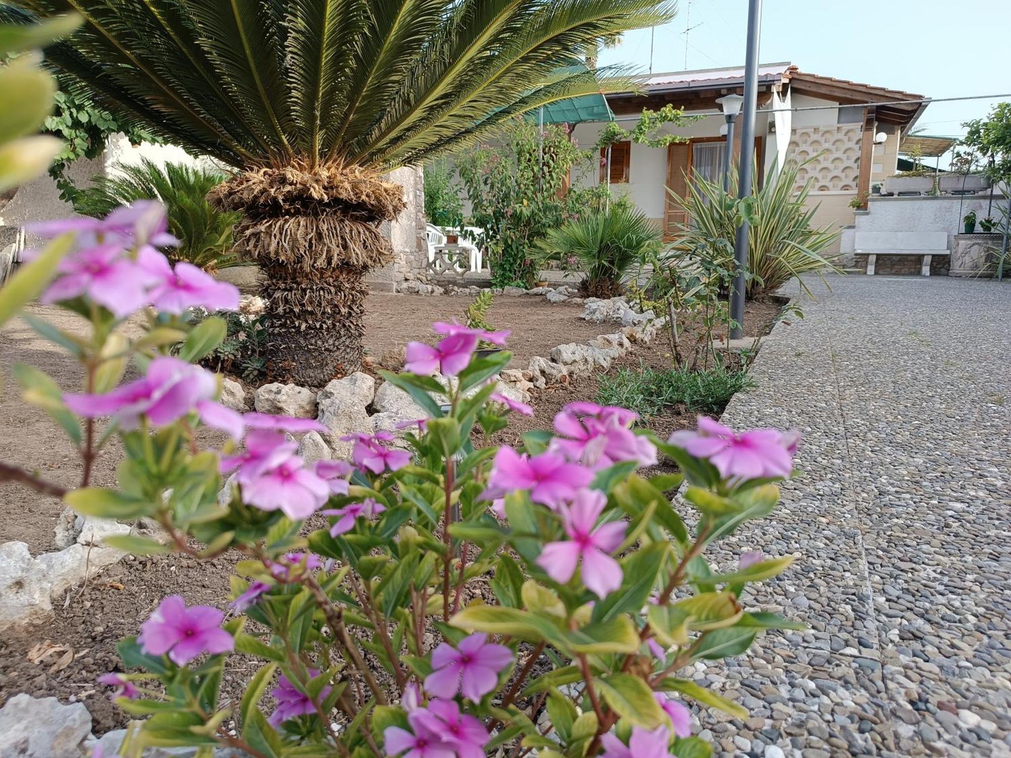 Il Giardino Di Sofia Charm And Comfort Apartment Torre dell'Orso Luaran gambar